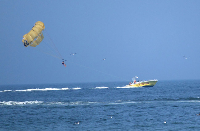 Parasailer and boat on the water from the beach